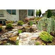 Ландшафтный дизайн