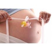 Информационное сопровождение беременности родов послеродового восстановления обеспечивают специалисты пренатологи акушеры-гинекологи. фотография