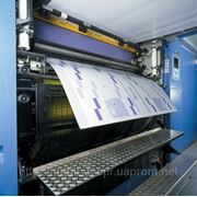 Нержавейка фото