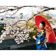 Курсы японского языка фотография