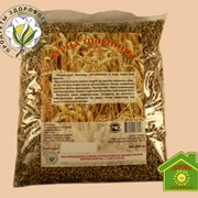 Зерна пшеницы, 500 грамм