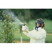 Дозвіл на ввезення та використання незареєстрованих пестицидів та агрохімікатів