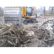 Удаление пней корчевание пней вывоз веток листьев Киев (067) 409 30 70 фотография