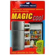 General Fresh Поглотитель запаха для холодильника Magic cool (4853) фото