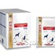 Корм для котов Royal Canin Convalescence Support Instant Dog&Cat фото