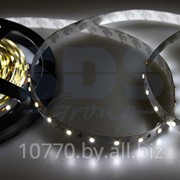 LED лента открытая, ширина 10 мм, IP23, SMD 3528, 60 диодов/метр, светоотдача 6 LM/1 LED, 12V, цвет светодиодов белый LAMPER фотография