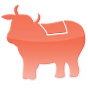 Телятина фото