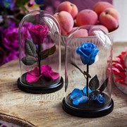 Forever Rose from Beauty and the Beast & Little Prince wholesale