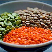 GREEN / RED LENTILS. фото