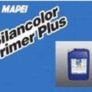 Грунтовка противогрибковая силиконовая Silancolor Primer PLUS.