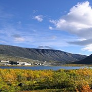 Эвдиалитовый концентрат фото