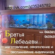 Обслуживание аквариумов от 150 грн. фотография
