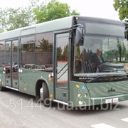 Автобус МАЗ 206 фотография
