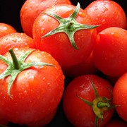 |Куплю помидоры оптом, вся Украина, Ивано-Франковск, область|