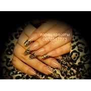 Леопардовые ногти фото