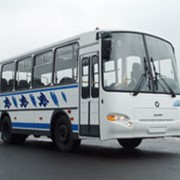 Автобус среднего класса ПАЗ-4230-03 фотография