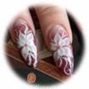 Маникюр фото