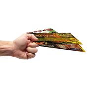 Распространение печатной продукции фото