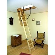 Чердачная лестница Termo - материал (лестница/ступени/короб) дерево/дерево/дерево фотография