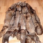 Натуральный мех лисицы чернобурой фото