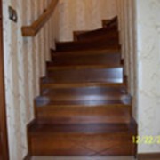 Дубовые лестницы фото