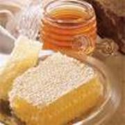 Услуги фасовки - фасовка натурального мёда. фото