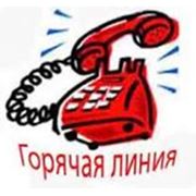 Организация горячей линии фото