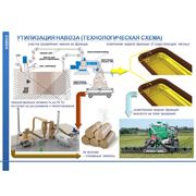 Разработка и сопровождение способов утилизации свиного навоза фотография