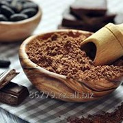 Какао обезжиренное 0-1% |500г Нидерланды фото