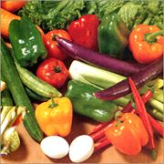 Выращивание овощных культур: Огурцы Помидоры Баклажаны Кабачки Перец Морковь Картофель Зелень