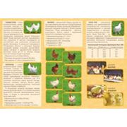 Подросток бройлера фото