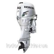 Мотор Honda BF50 D LRTU фотография