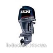 Мотор Selva Killer Whale 150 E.F.I. фото