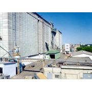 Элеваторный комплекс для хранения 60 тыс. тонн зерна в железобетонных силосах фото