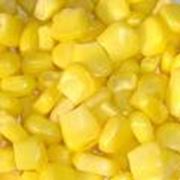 Закупка кукурузы фото