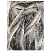 Рыба свежемороженая сайра /Иссландия/ фото