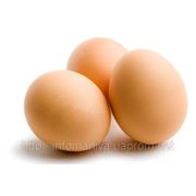 Исследование рынка яиц фото