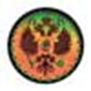 Голограмма фото