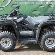 УТИЛИТАРНЫЙ КВАДРОЦИКЛ ARMADA ATV 200L (ДВУХМЕСТНЫЙ) фотография