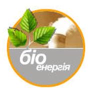 Биоэнергетика фото