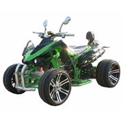 Квадроциклы шоссейные ATV 250D фото
