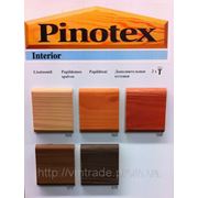 PINOTEX INTERIOR, 10L