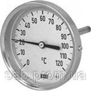 Термометр биметаллический ТБ 63 (0...+150) L=50 фото