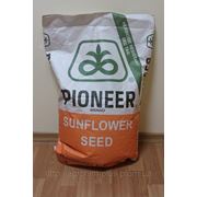 Семена подсолнечника Пионер ПР63А90