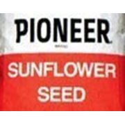 Семена подсолнечника Пионер ПР62А91 (Pioneer PR62A91) фото