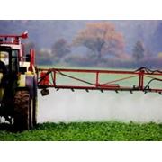 Лицензия на пестициды и агрохимикаты фото