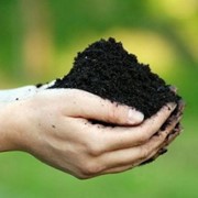 Определение плотности почвы