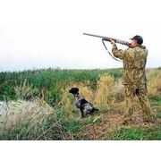 Страхование ответственности владельцев оружия фото