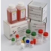 Вектогеп В-HBs-антиген (комплект 5/подтверждающий тест).