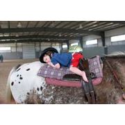Лечебная верховая езда для детей инвалидов Житомир фото